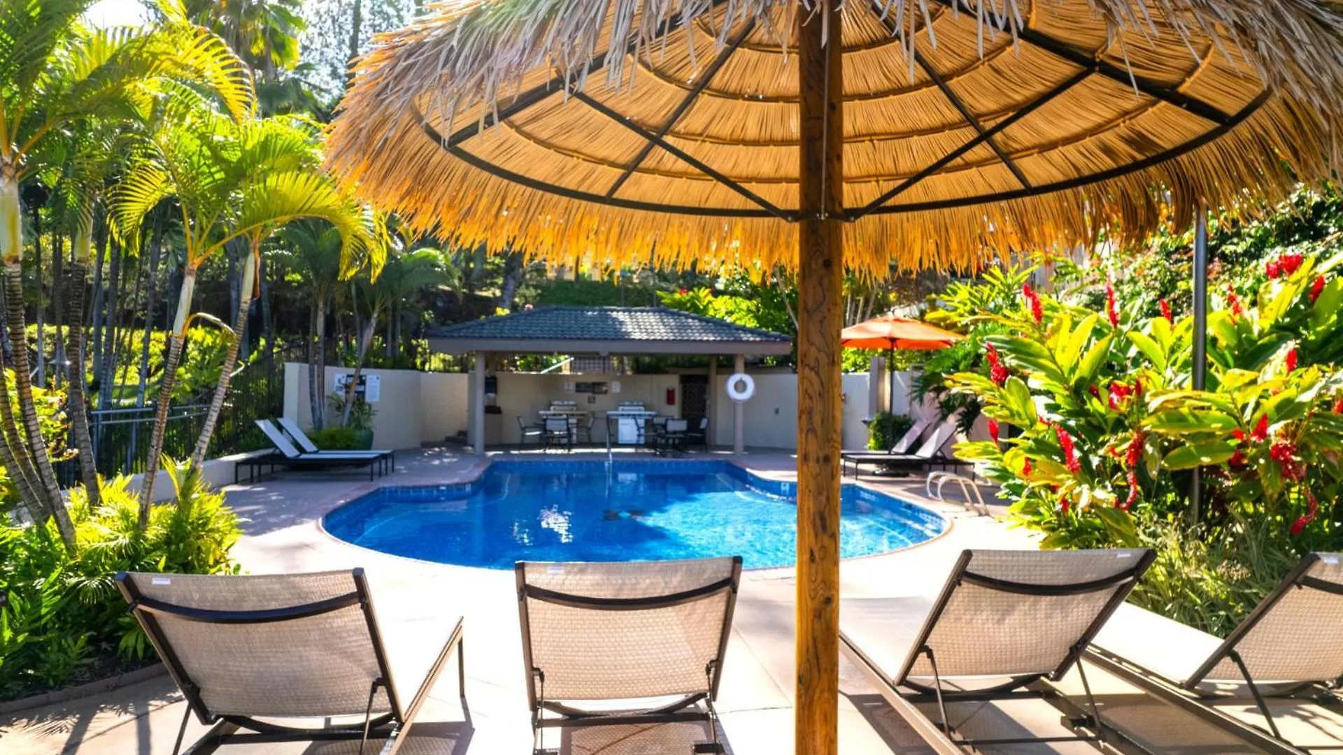 Apartment Kbm Resorts Free Car Kapalua Golf Villa Kgv-24P2 Remodeled Ocean View United States