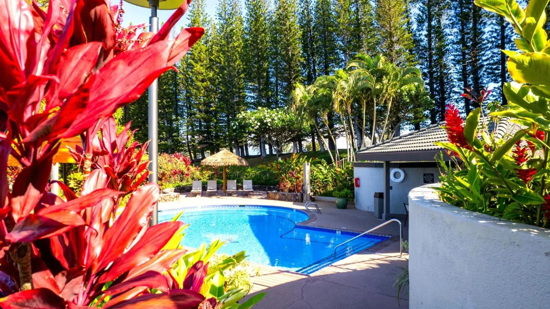 Kbm Resorts Free Car Kapalua Golf Villa Kgv-24P2 Remodeled Ocean View